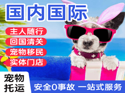宜昌三峡空运代理国际宠物托运 【国